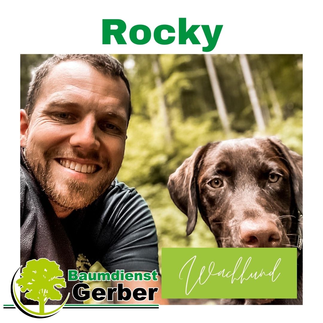 Mitarbeiter Rocky